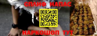 стаф Заводоуковск