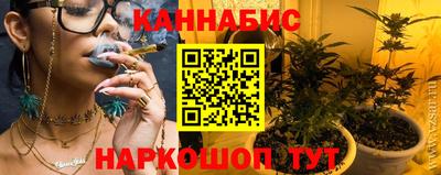 стаф Заводоуковск