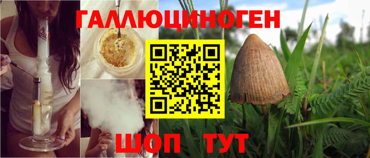Галлюциногенные грибы прущие грибы  Вход с VPN  Кириши 